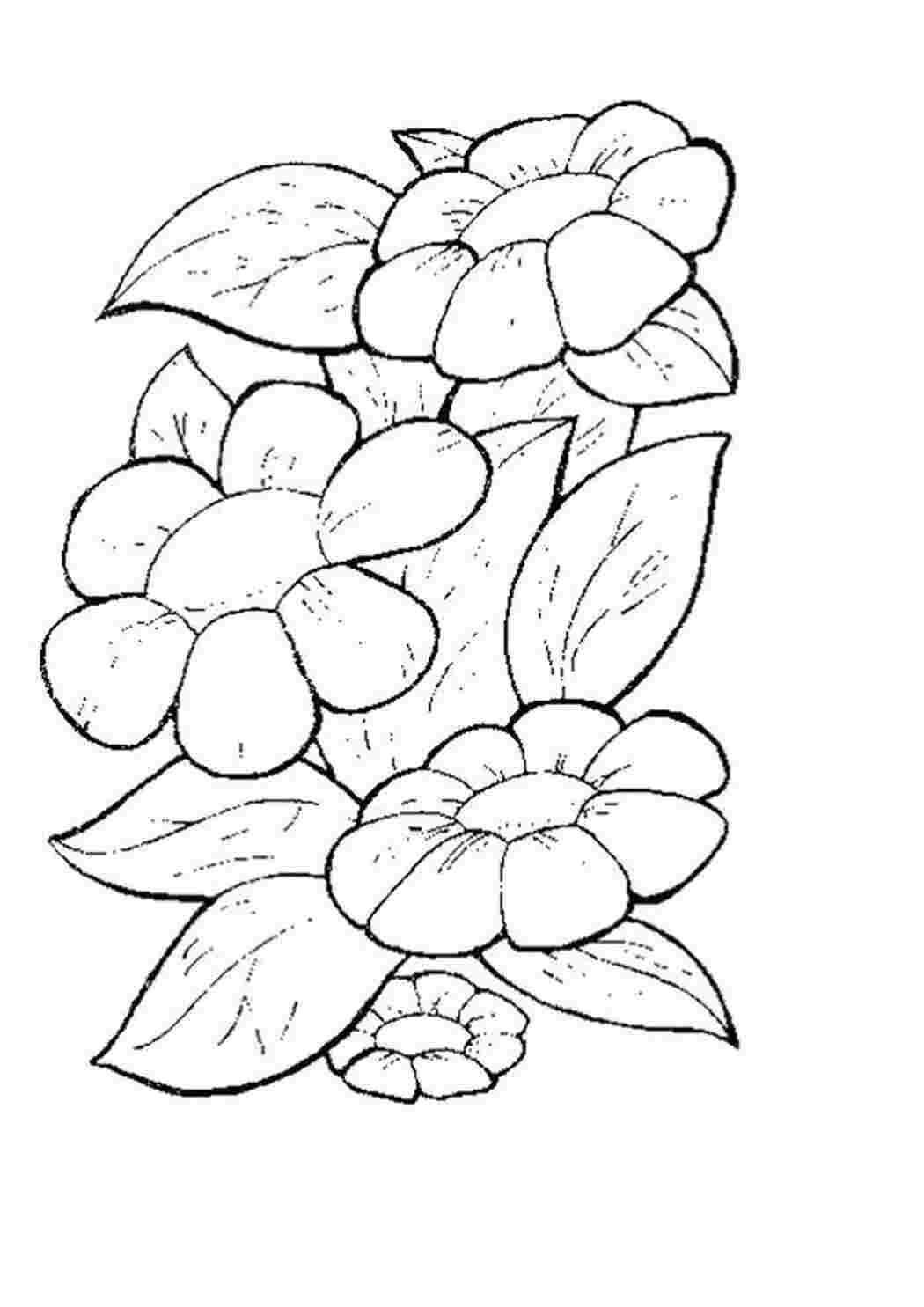 Раскраска Цветочки