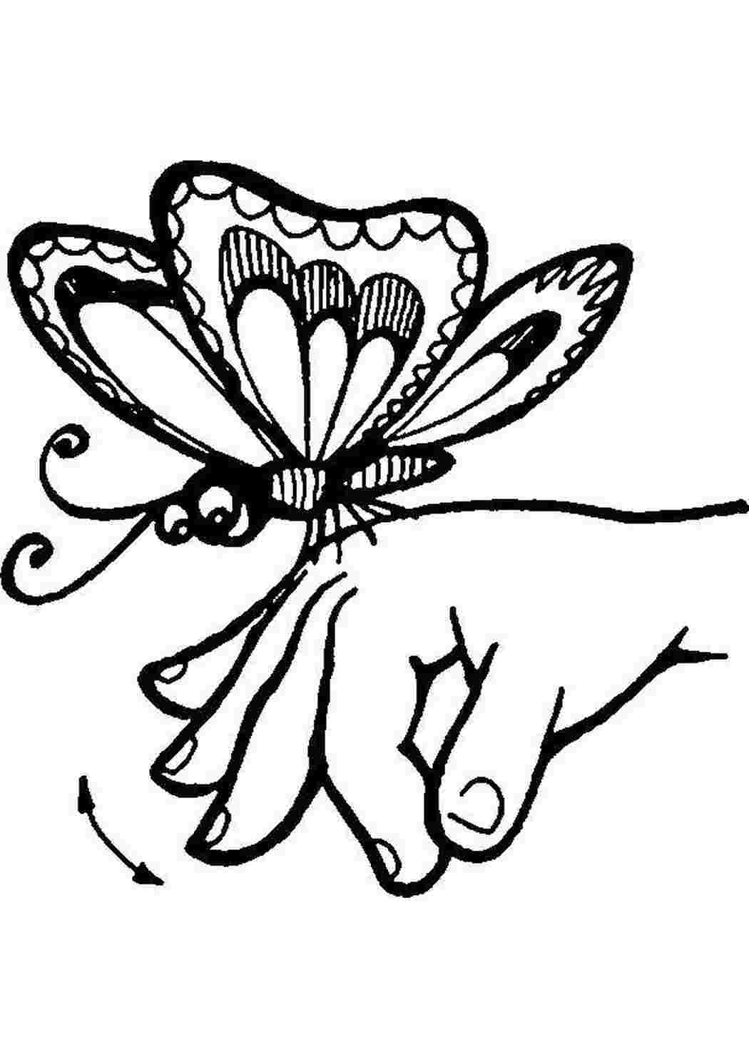 Рисование бабочку руками для детей