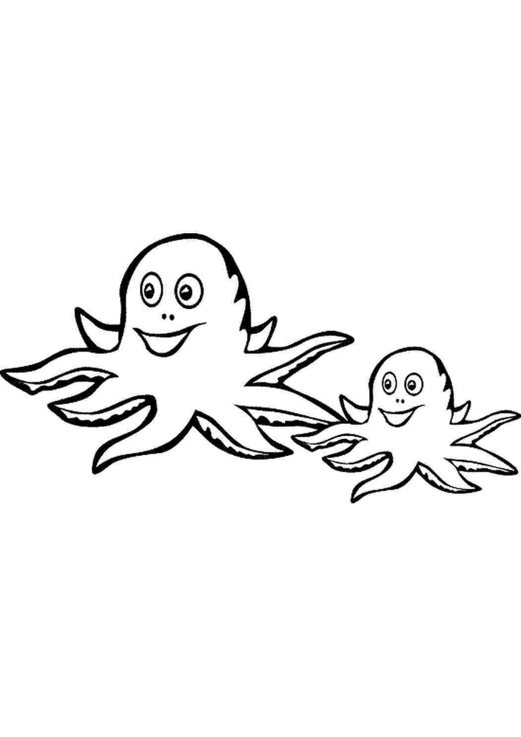 Раскраска раскраски осьминога осьминоги 