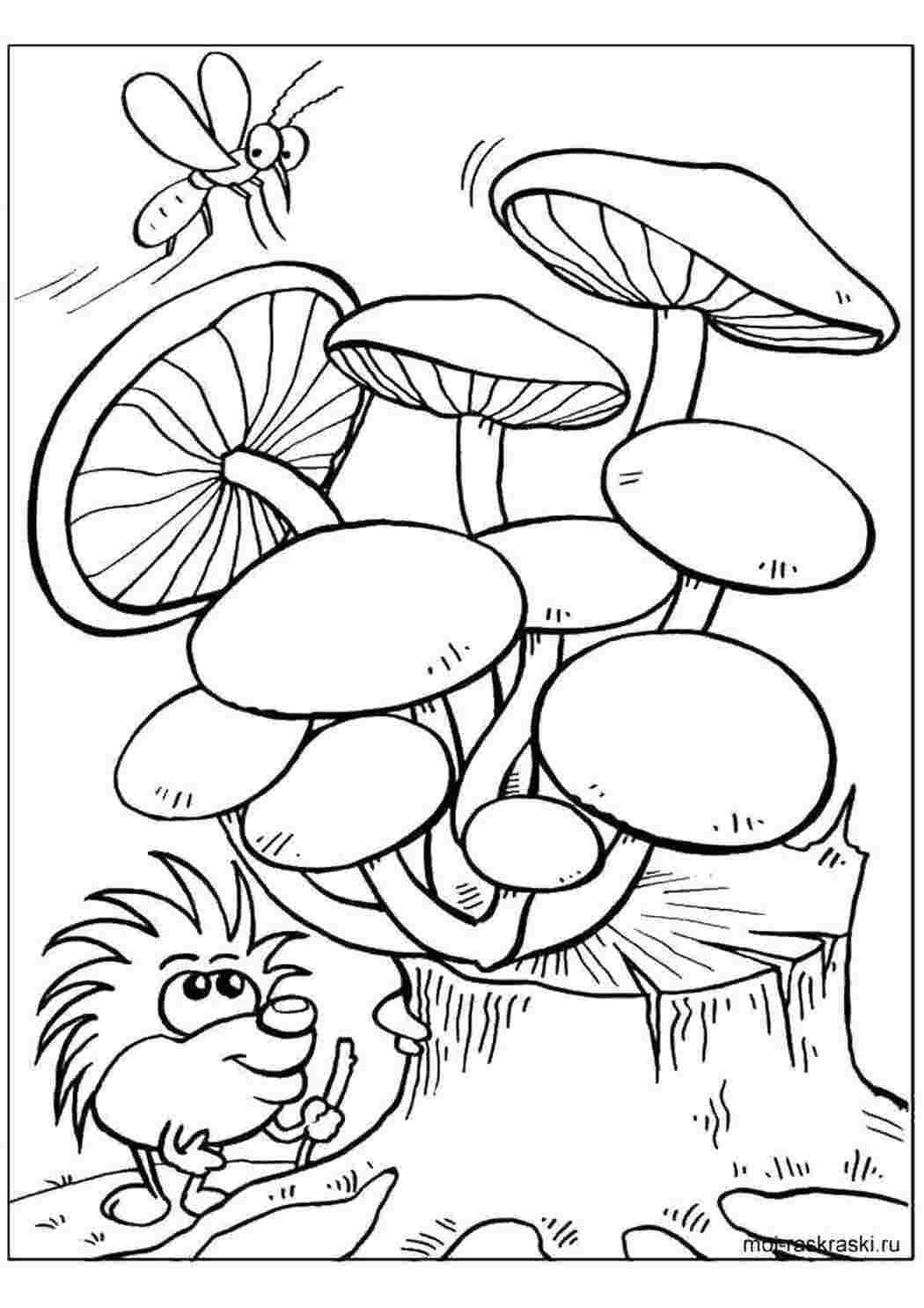 Раскраска Грибы на пенmrf[