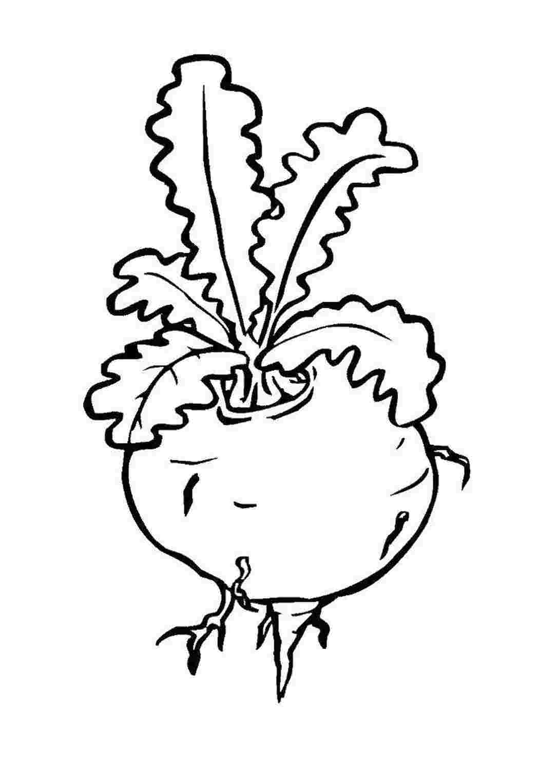 Раскраска Репка