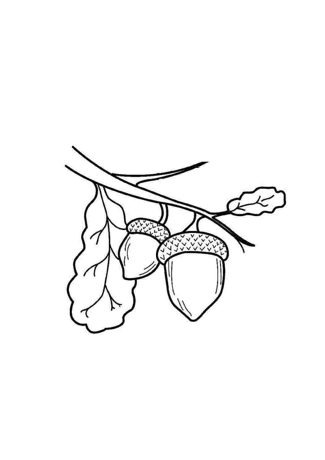 Раскраска Скачать или распечатать раскраску распечатать скачать