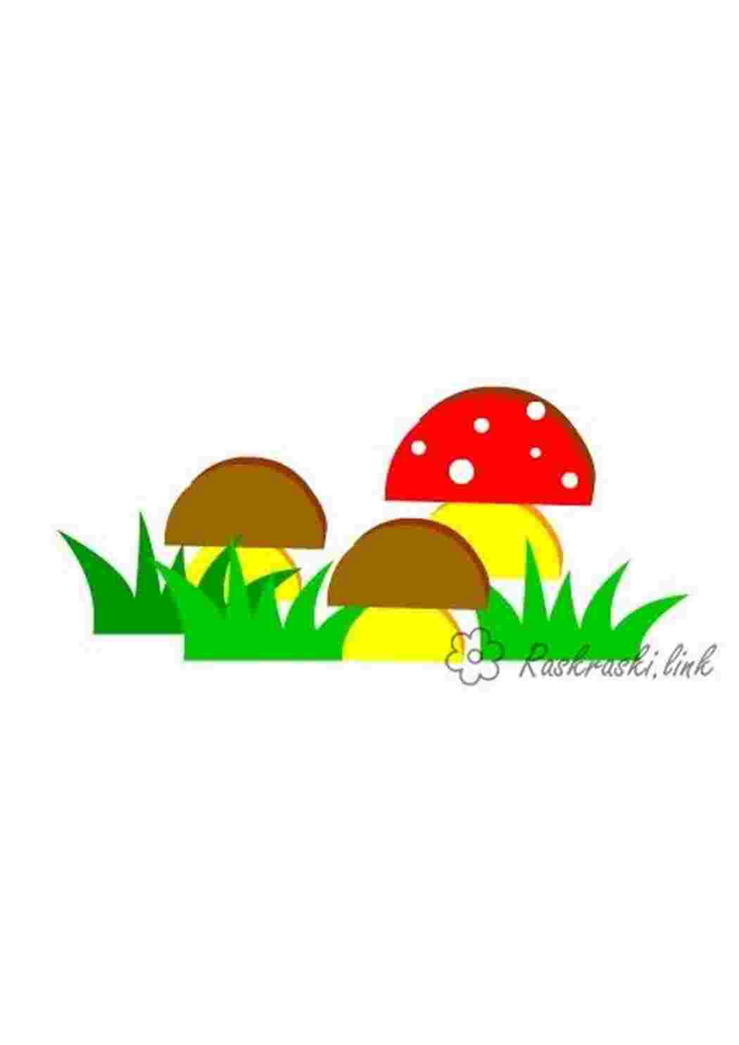 Аппликация грибы