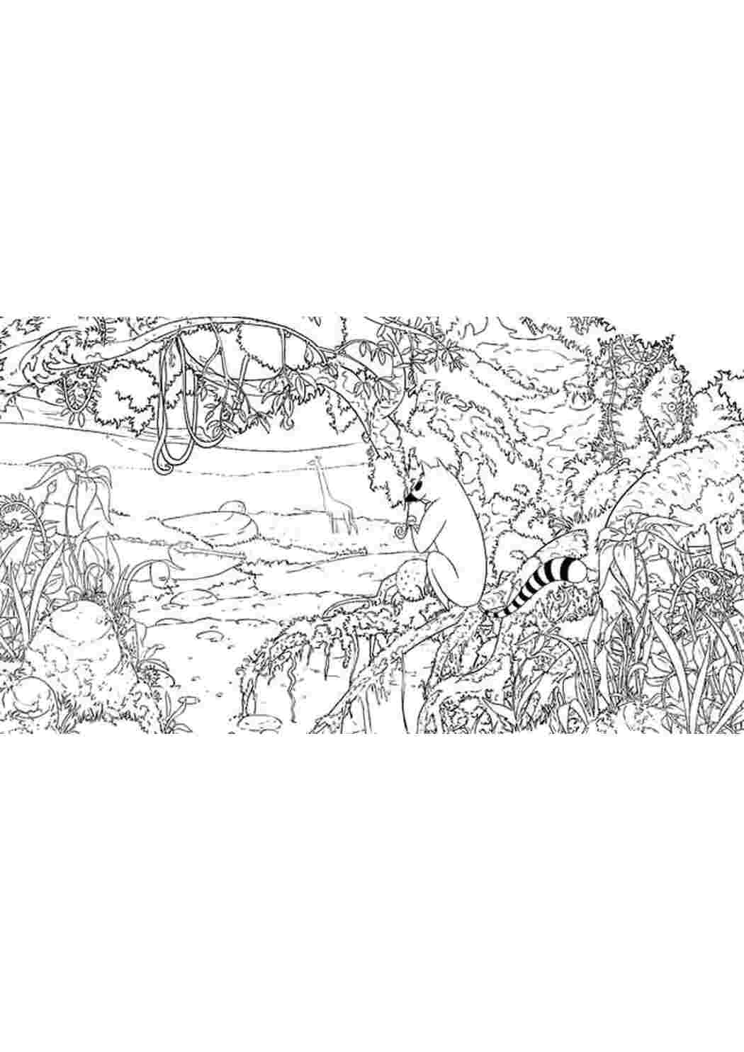 Раскраска Скачать или распечатать раскраску распечатать скачать