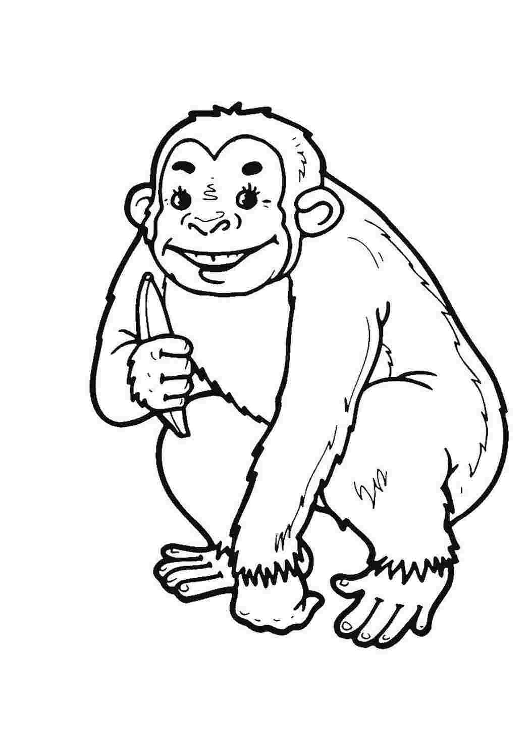 Раскраска для мальчиков обезьяны