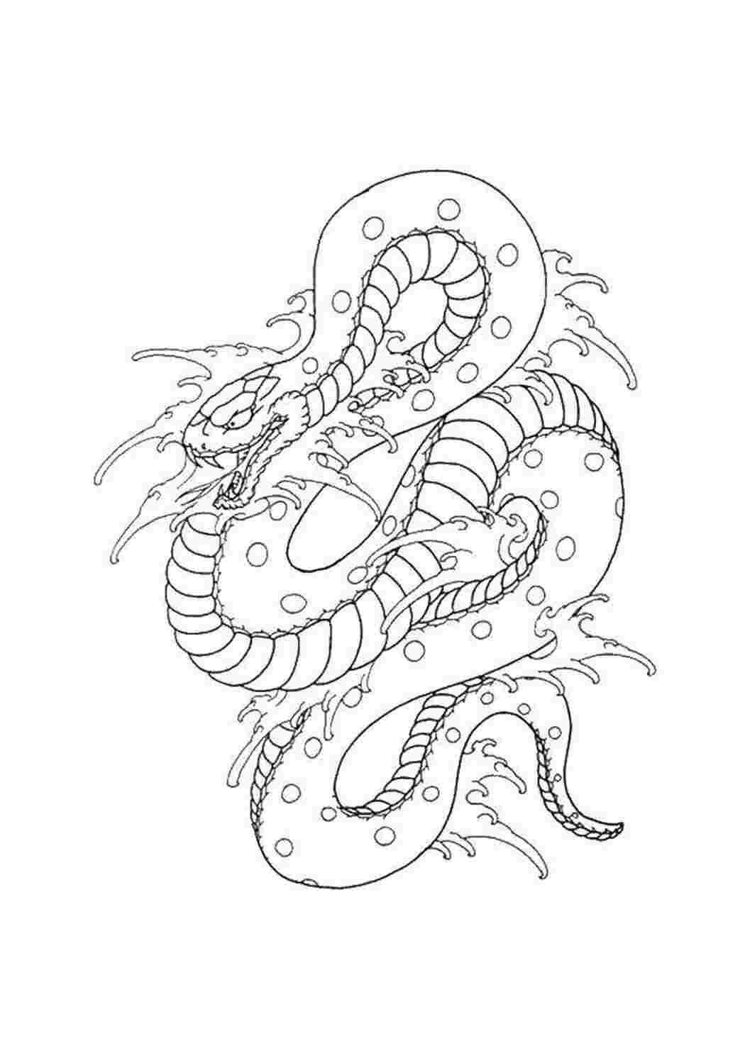 Раскраска Водная змея