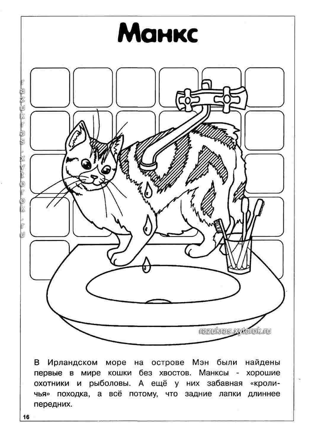 Раскраска Манкс