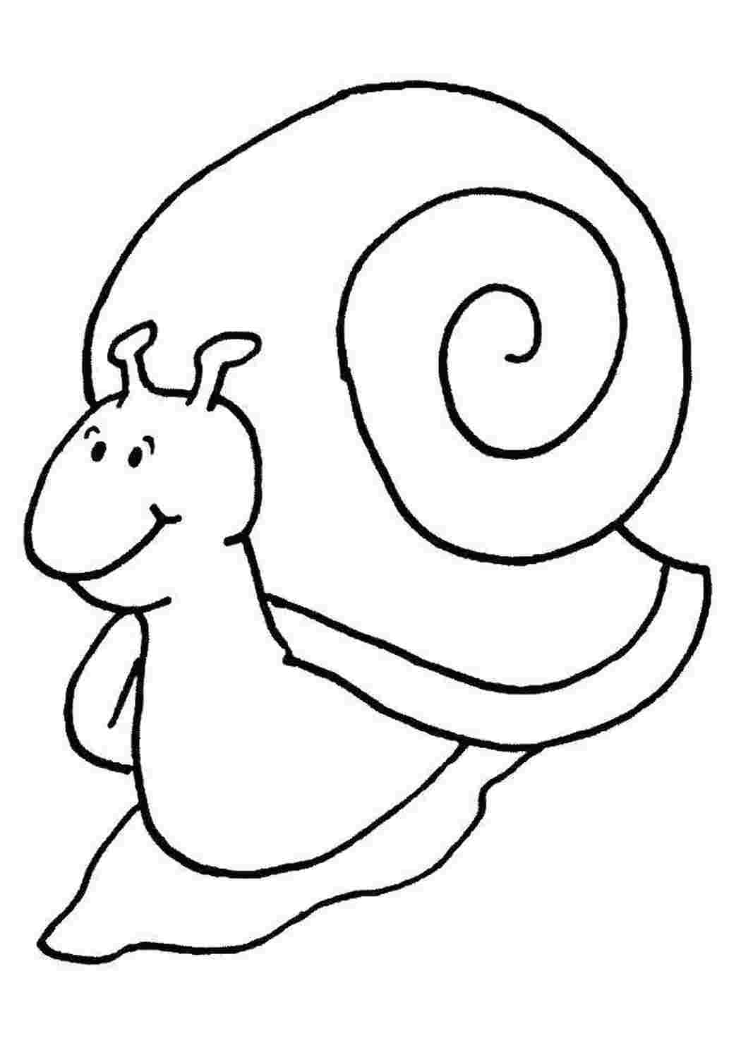 Раскраска Хорошенькая улитка