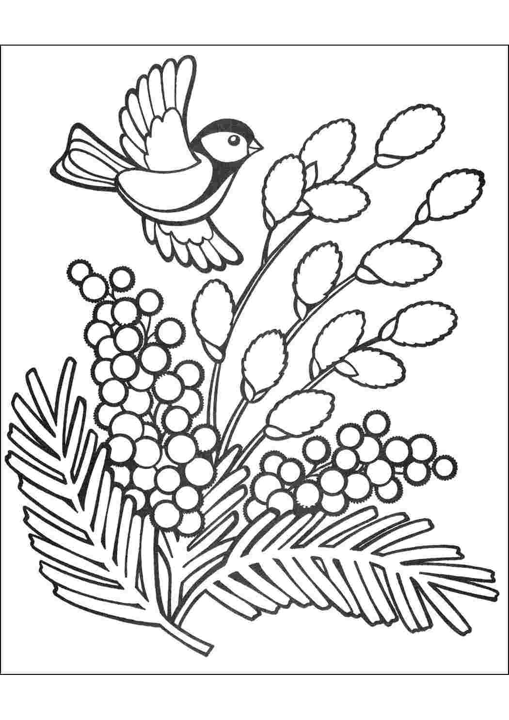 Раскраска Весенние цветы. Раскраски для детей.