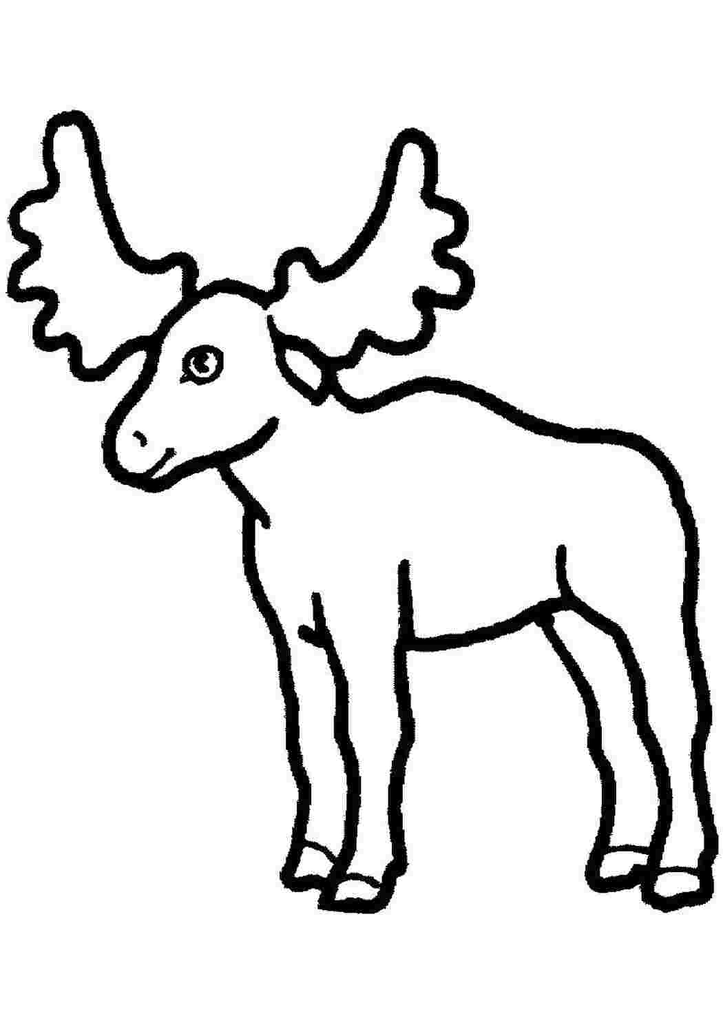 Раскраска Лось