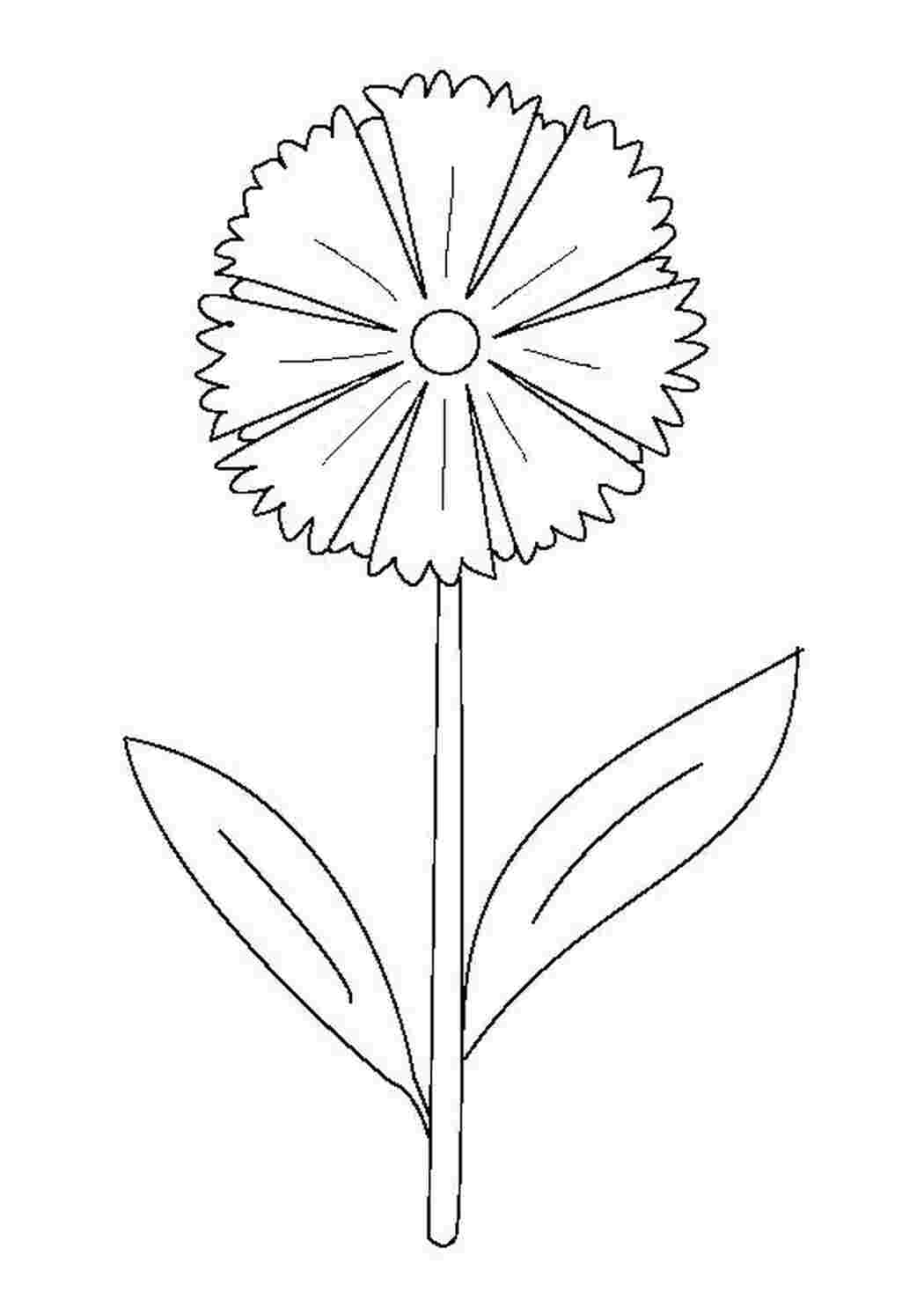 Раскраска Цветок