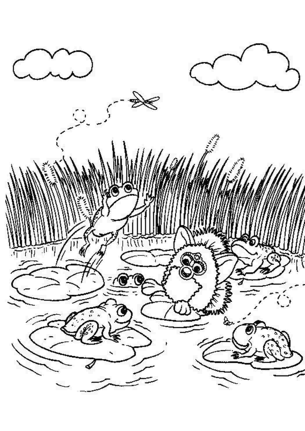 Раскраска На болоте