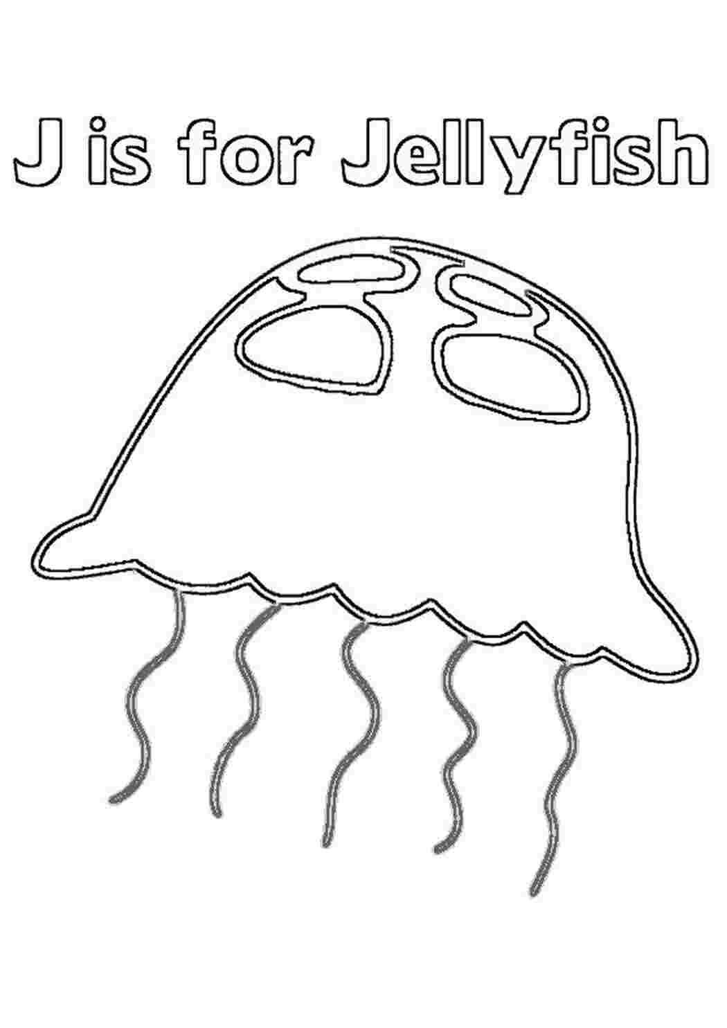 Раскраска большая медуза