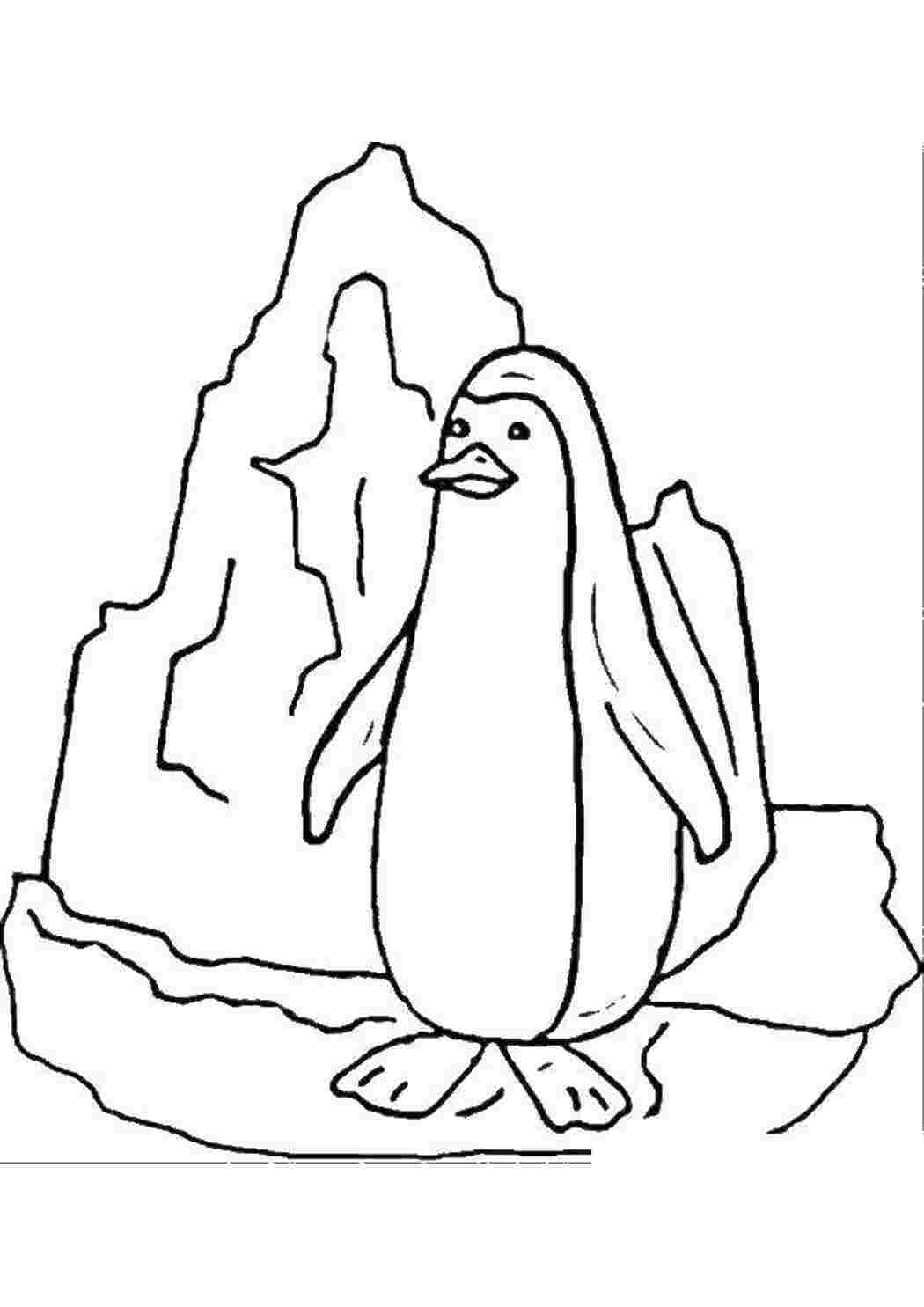 Раскраска 