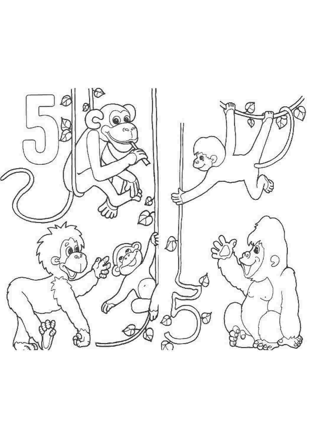 Раскраска Обезьяны