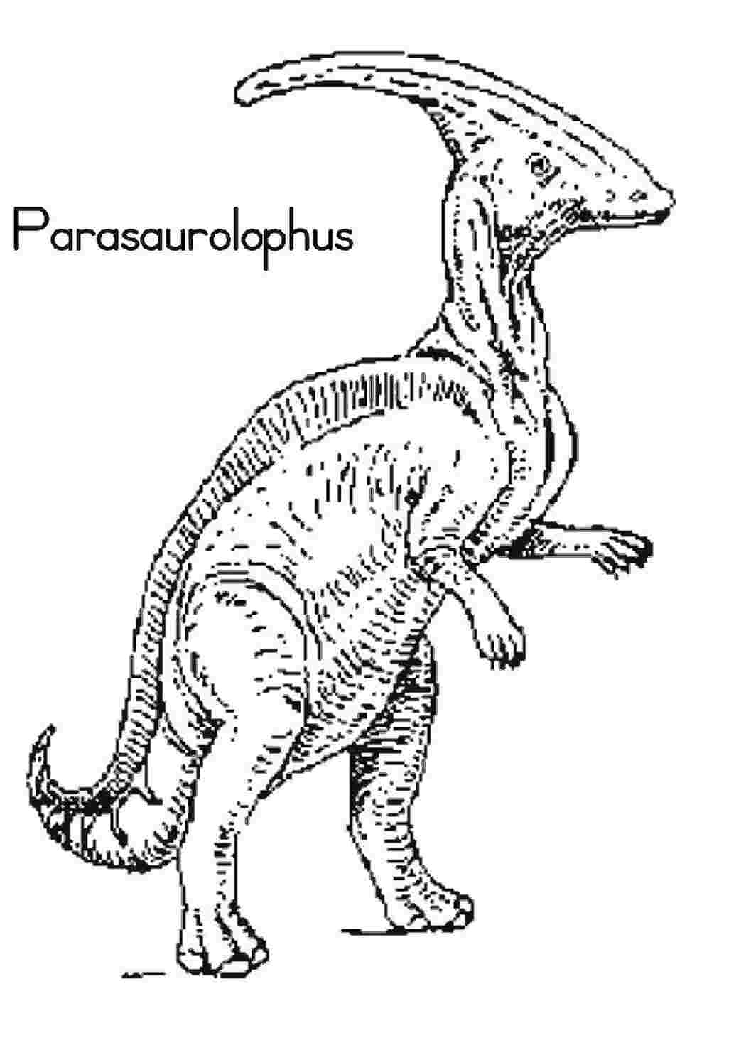 Паразауролоф раскраска для детей