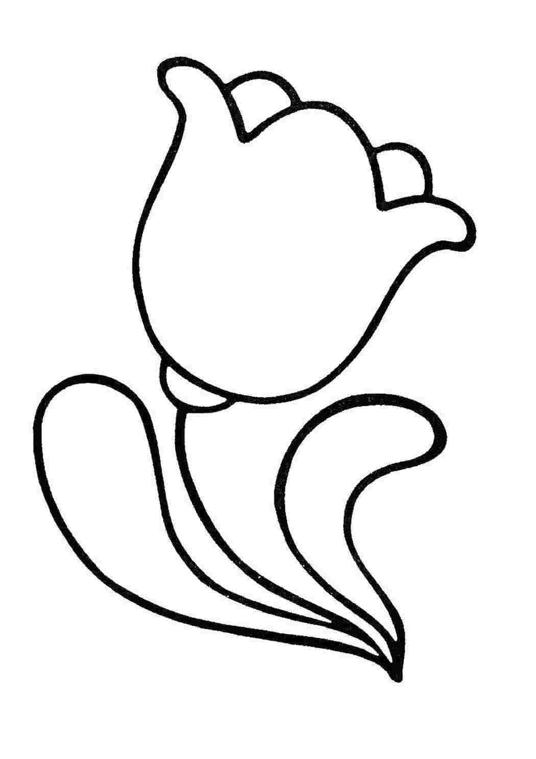 Раскраска Тюльпанчик