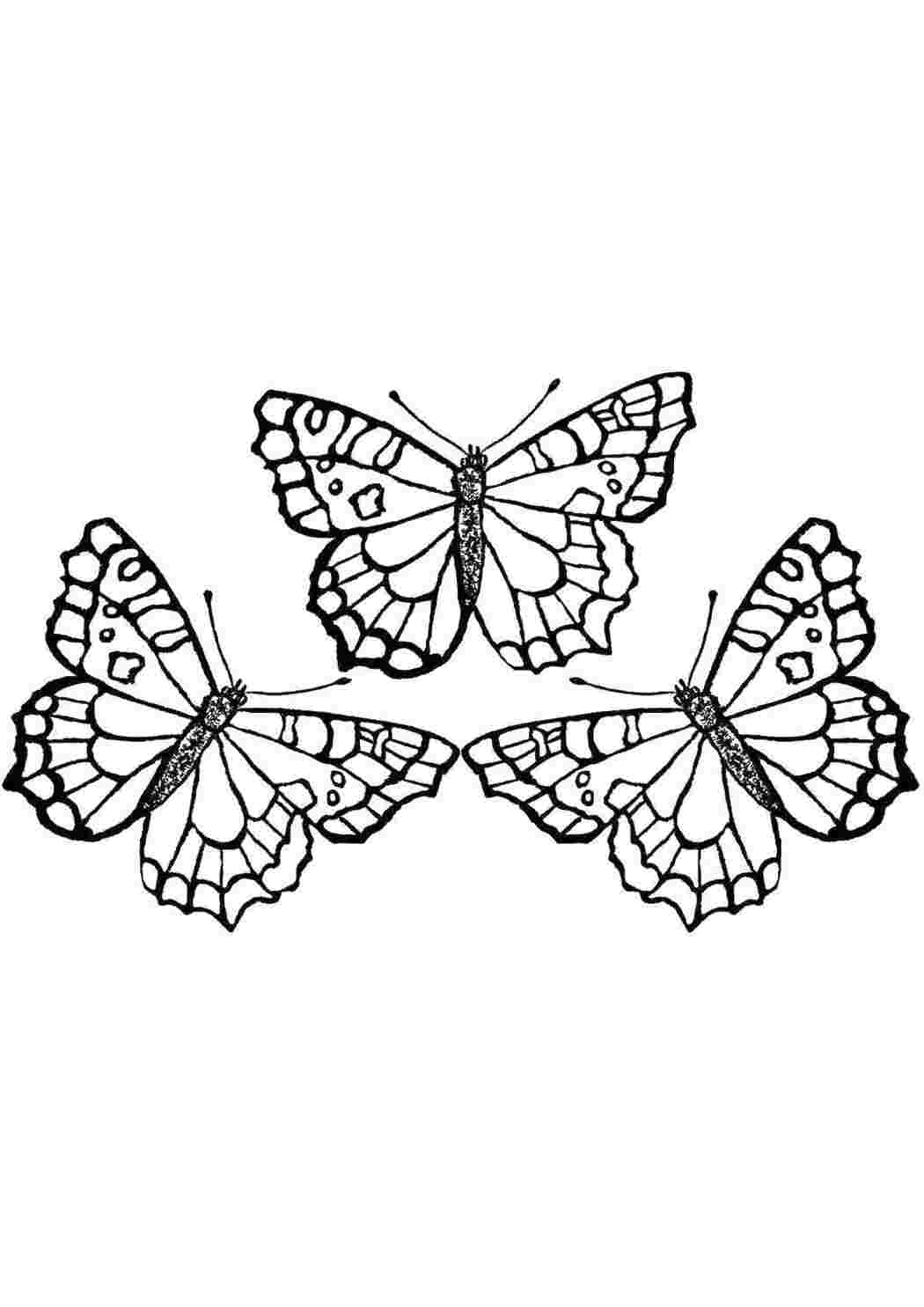 цветы и бабочки. бабочка раскраска для детей. маленькие бабочки раскраска. бабочка для раскрашивания для детей. бабочка раскраска для малышей.