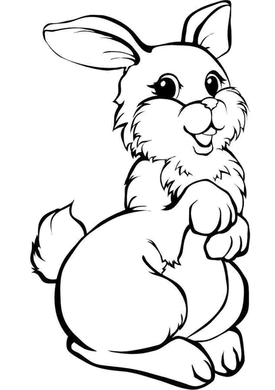 Раскраска Зайка