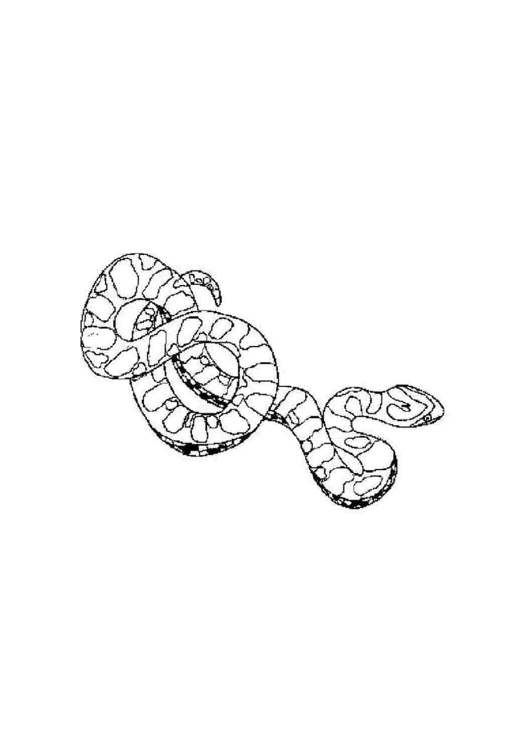 Раскраска Змея