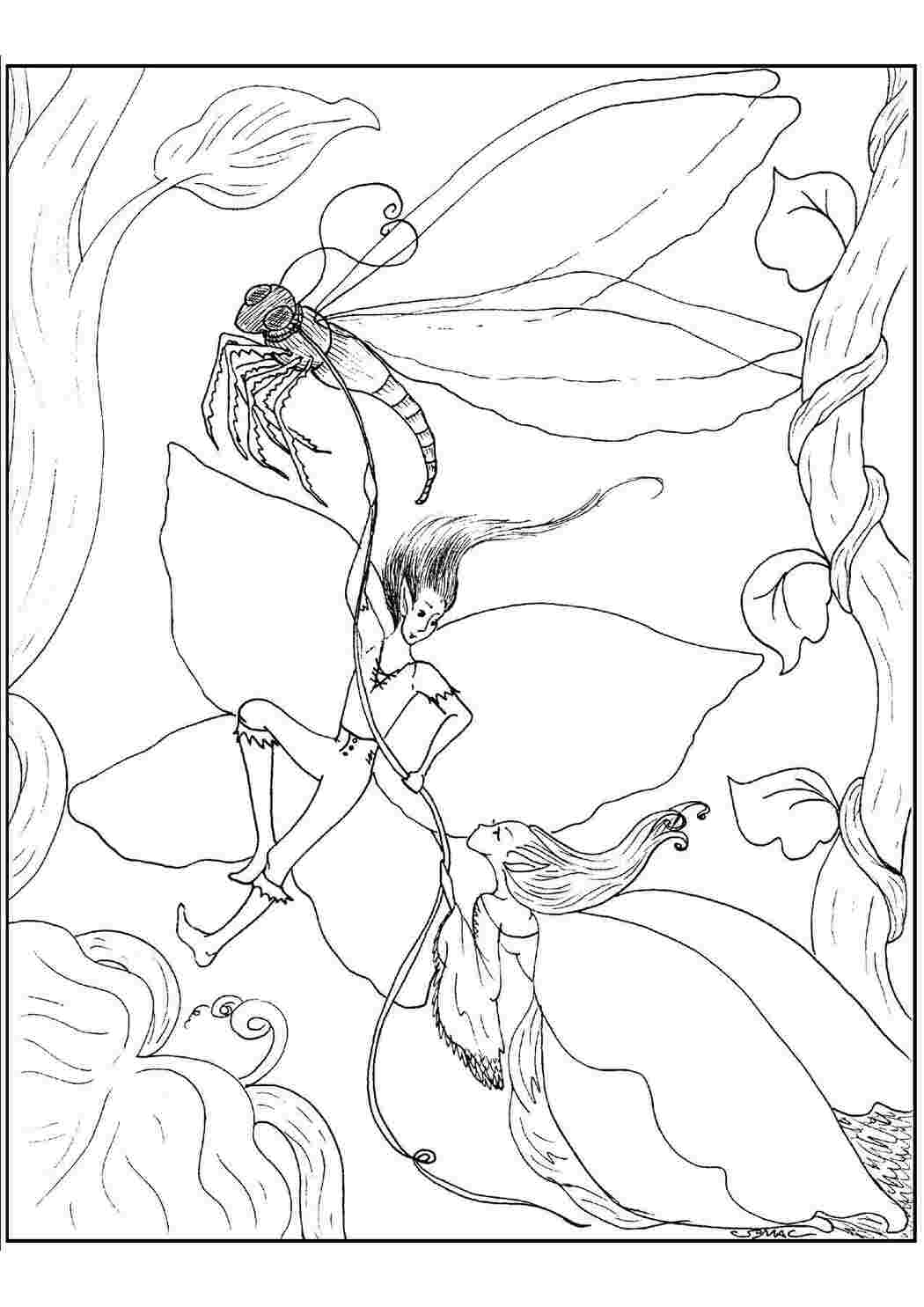 Раскраска Эльфы летят на стрекозе