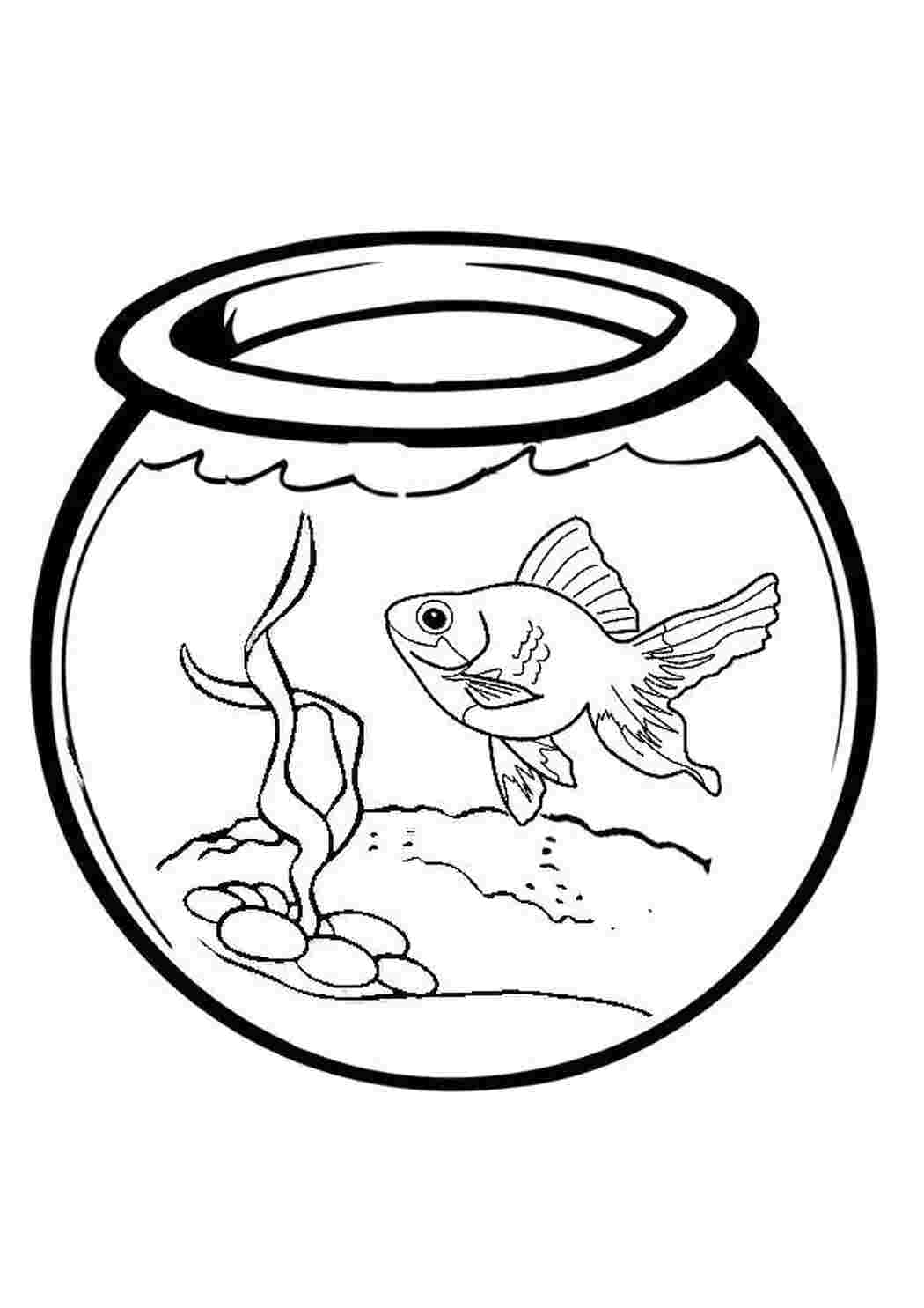 Раскраска Обитатель аквариума