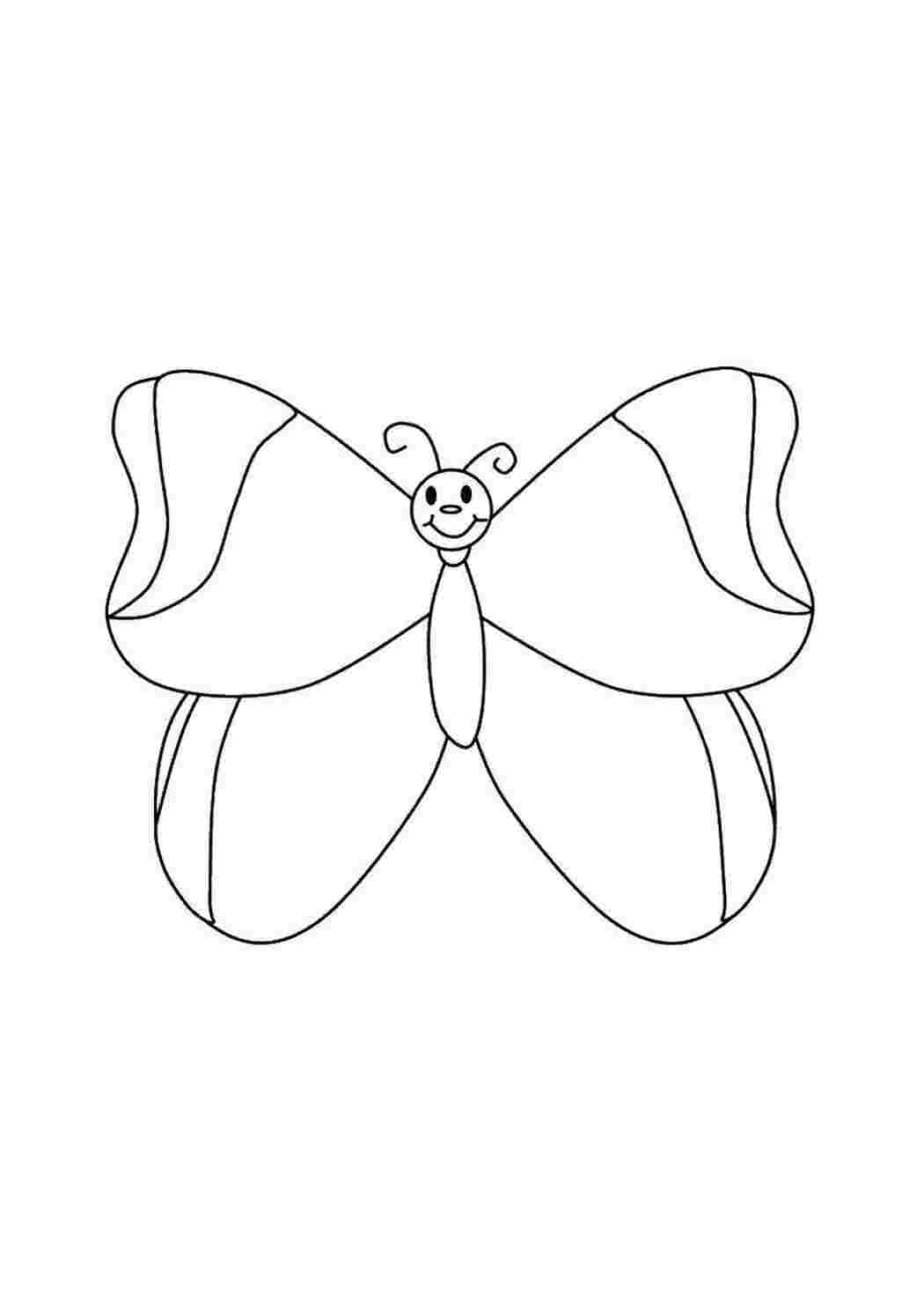 Раскраска Бабочка