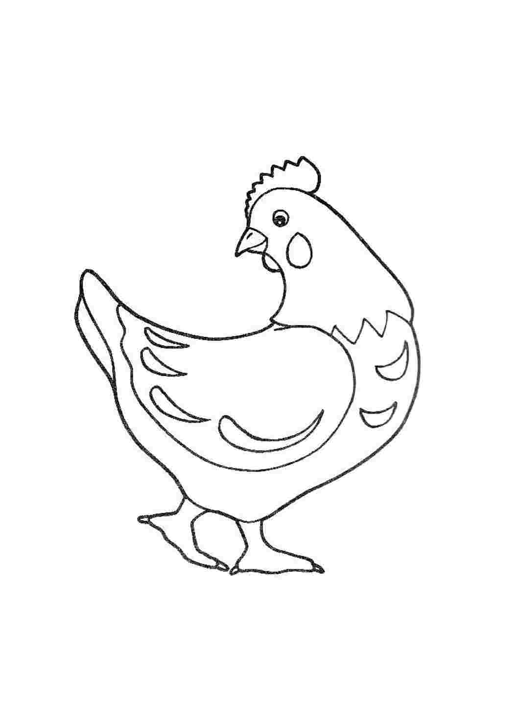 Раскраска Курочка