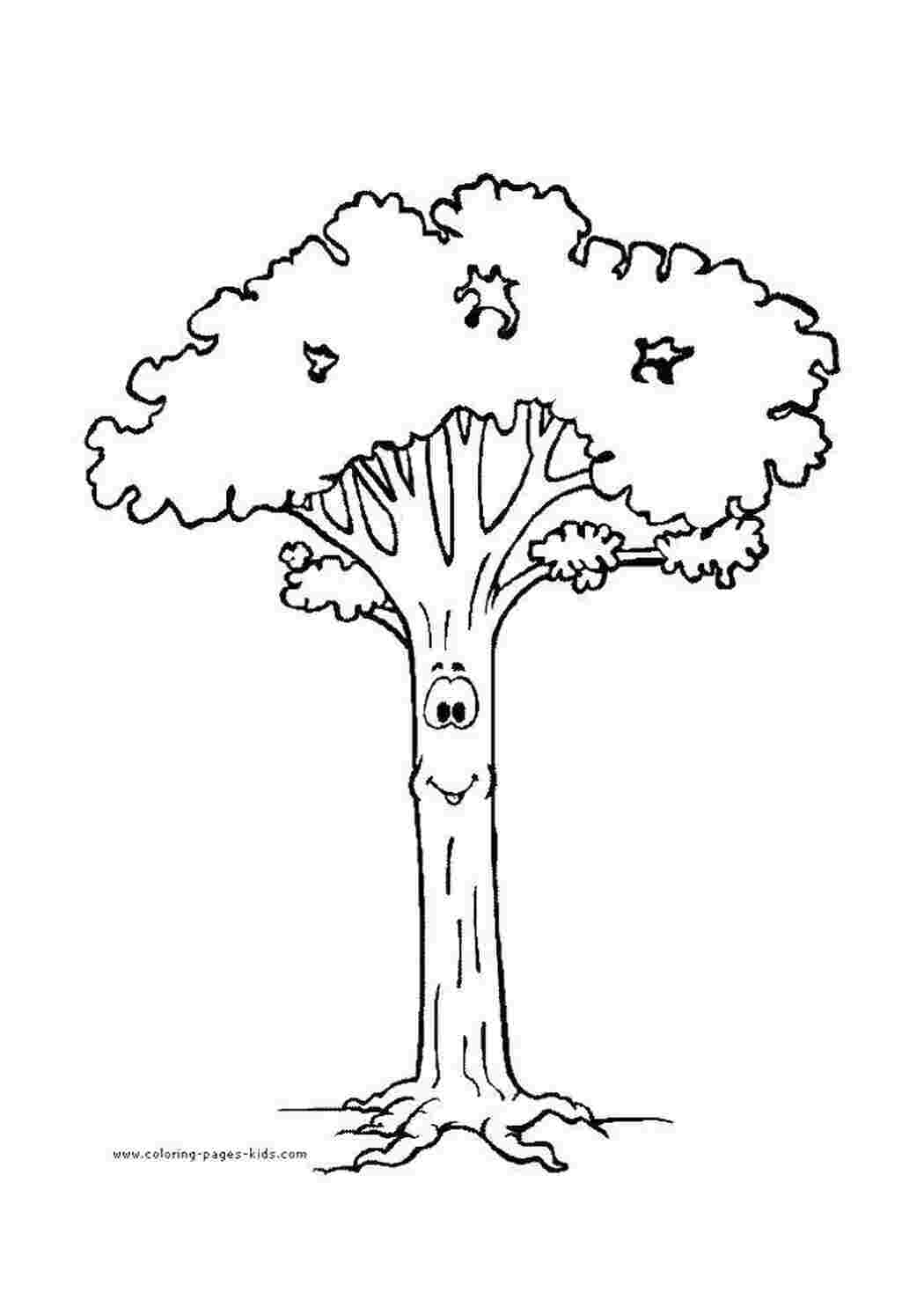 Раскраска Дерево