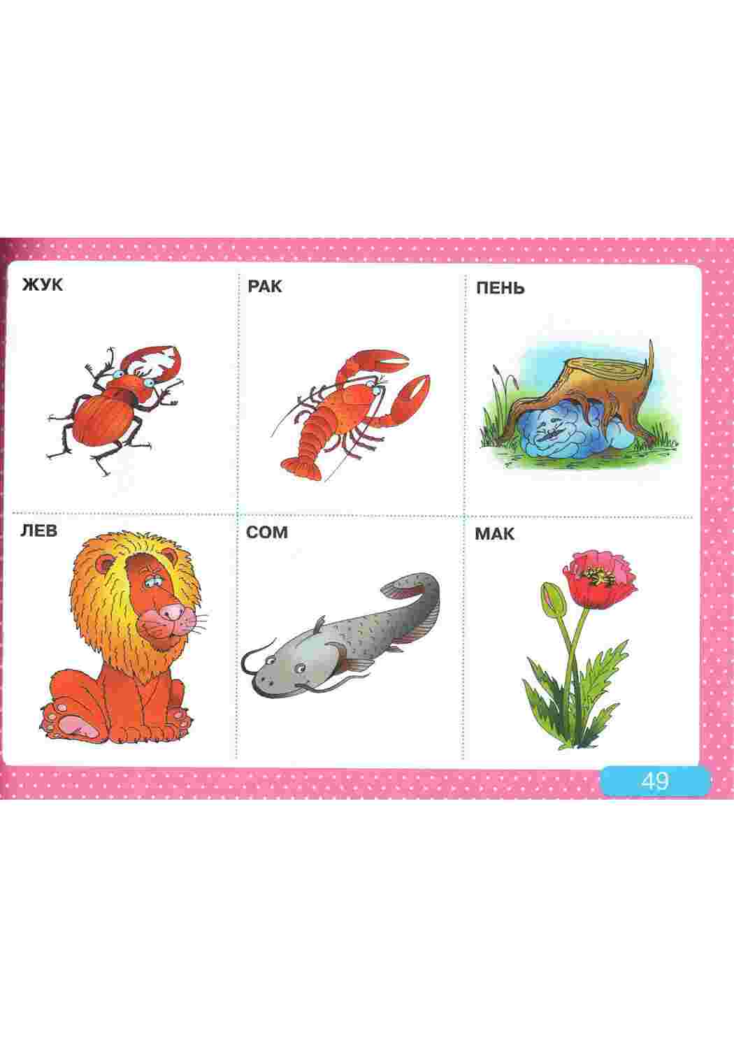 Односложное слово из 5 букв. Карточки для развития речи. Логопедические карточки. Карточки с картинками для детей. Карточки для логопеда.