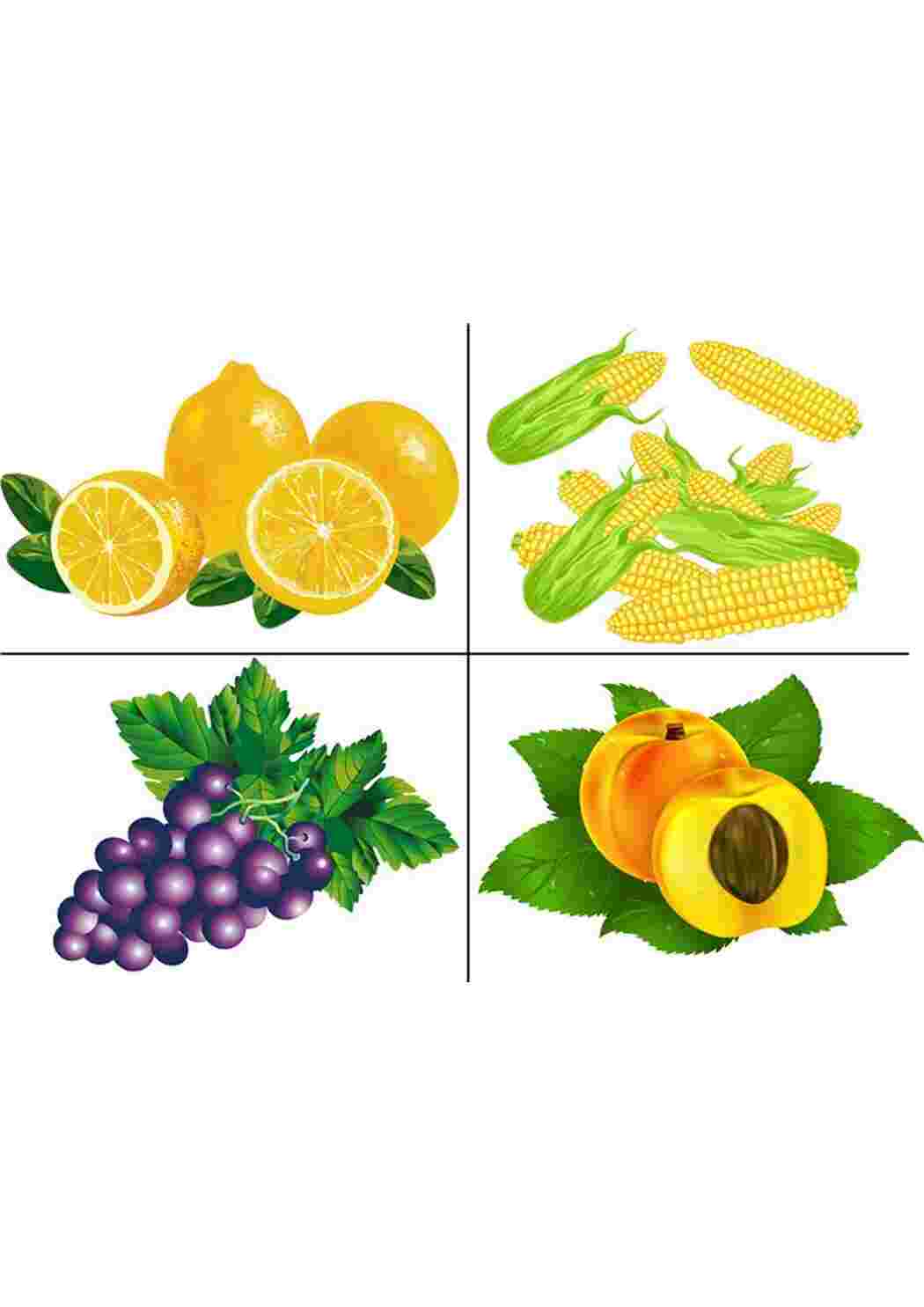 Раскраска назови одним словом для детей