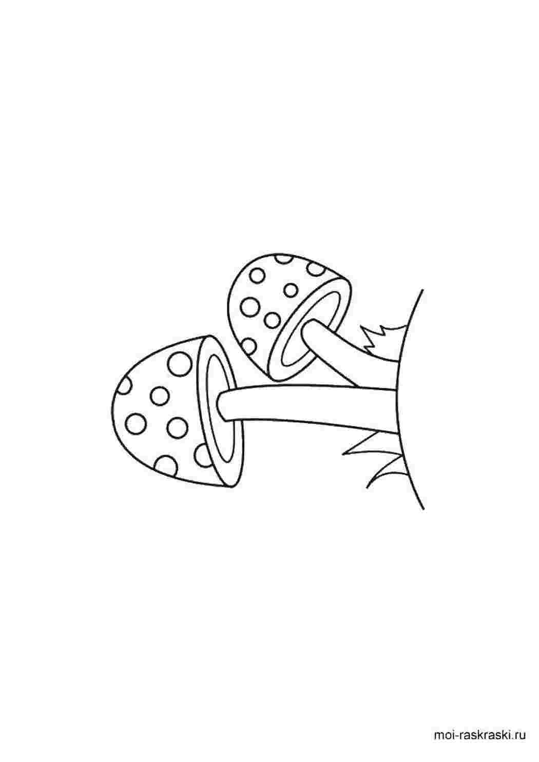 Раскраска Грибы