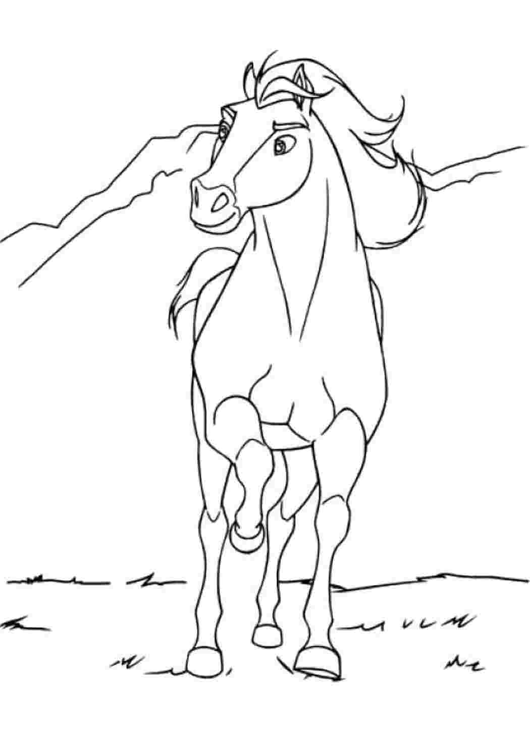 Раскраска На скаку