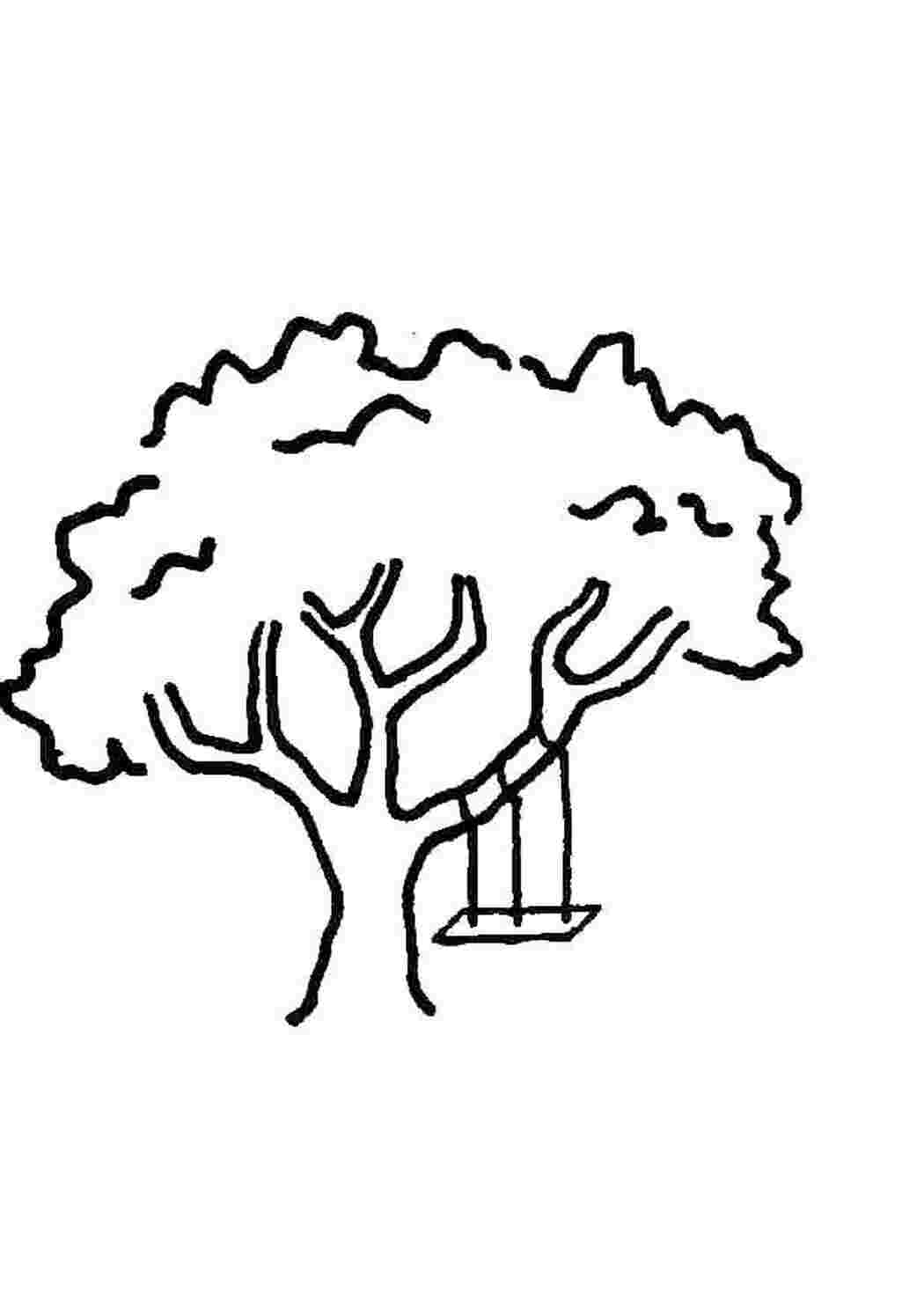 Раскраска для детей дерево высокое низкое