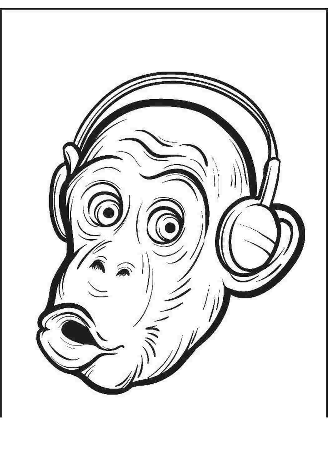 Удивленная обезьяна рисунок