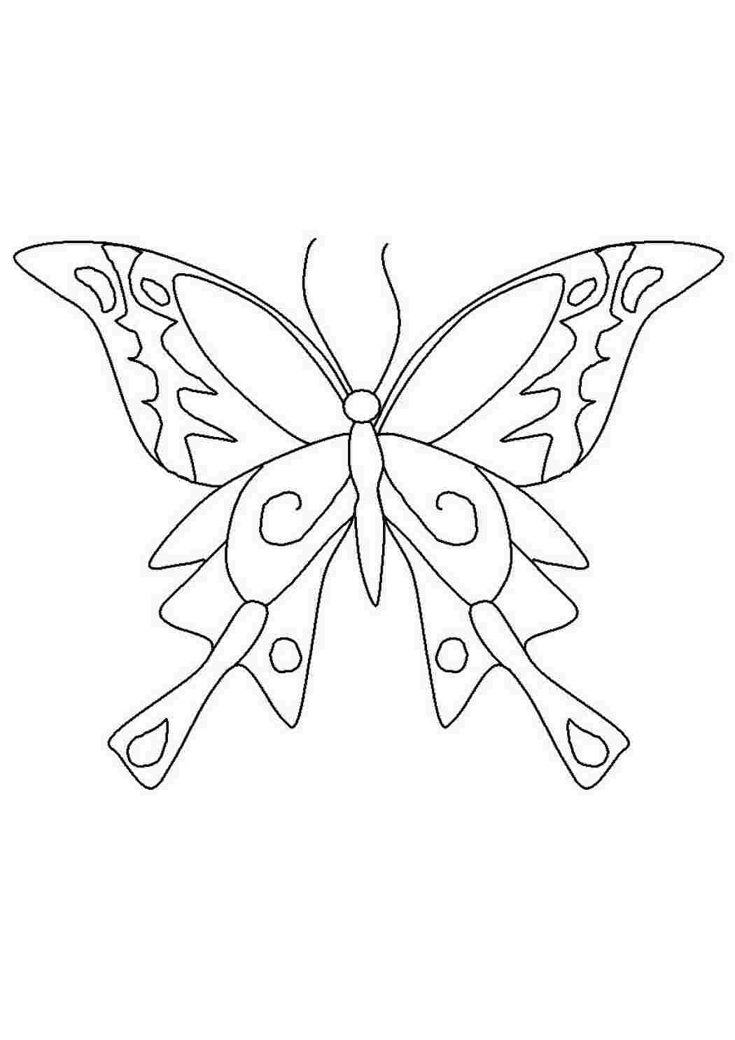 Трафарет бабочки для рисования