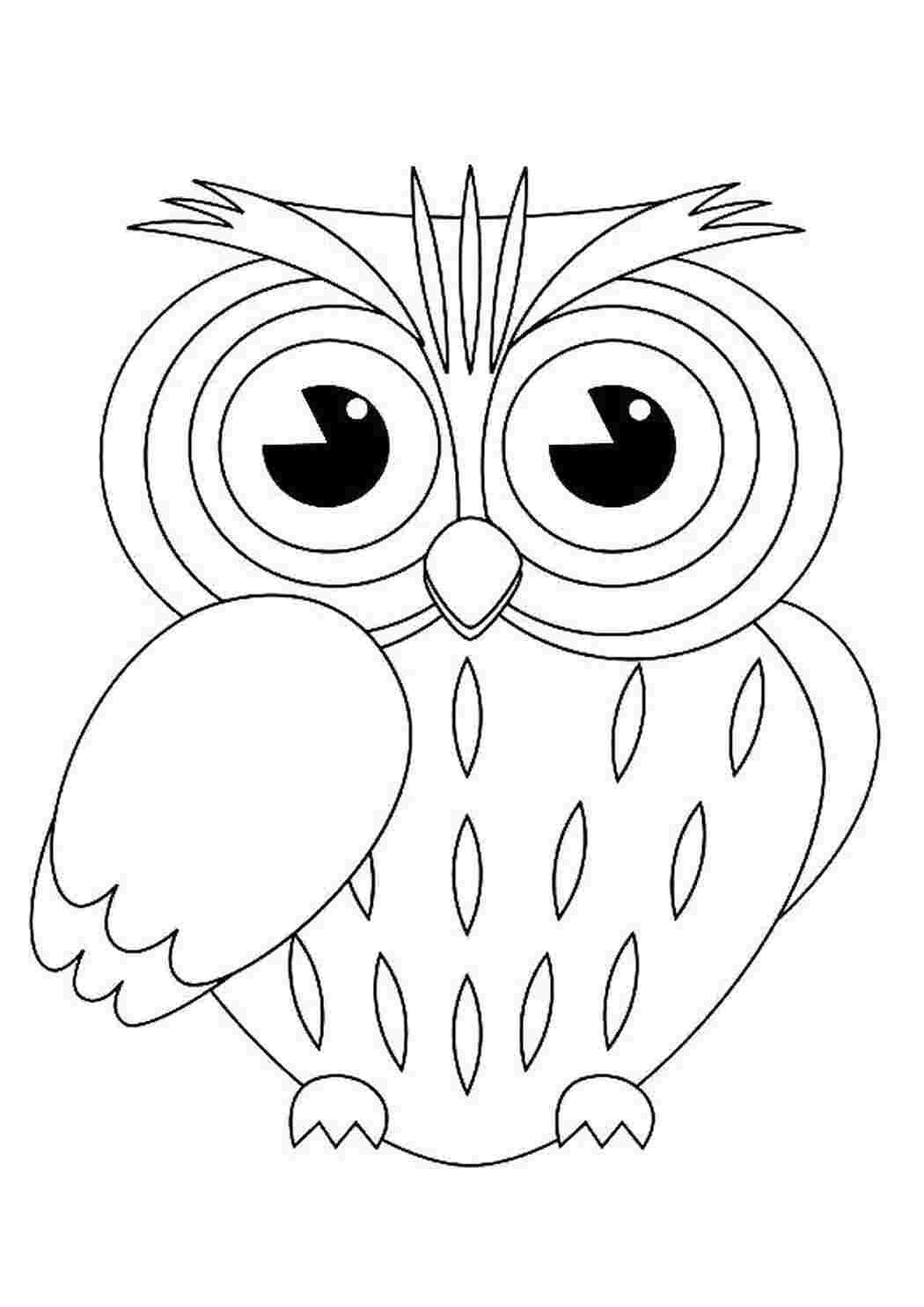 Раскраска Совушка