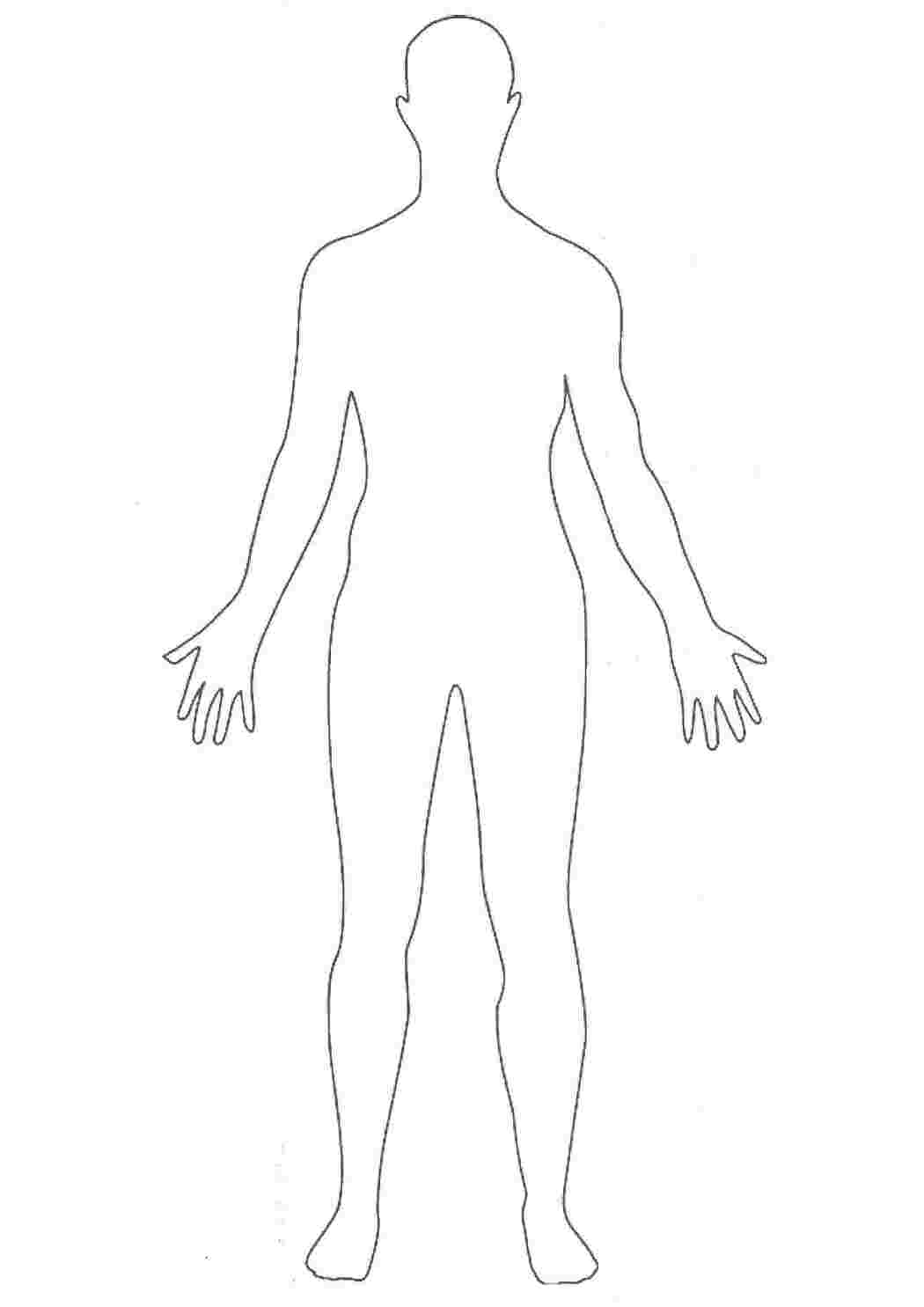 контур тела человека в исходном анатомическом положении