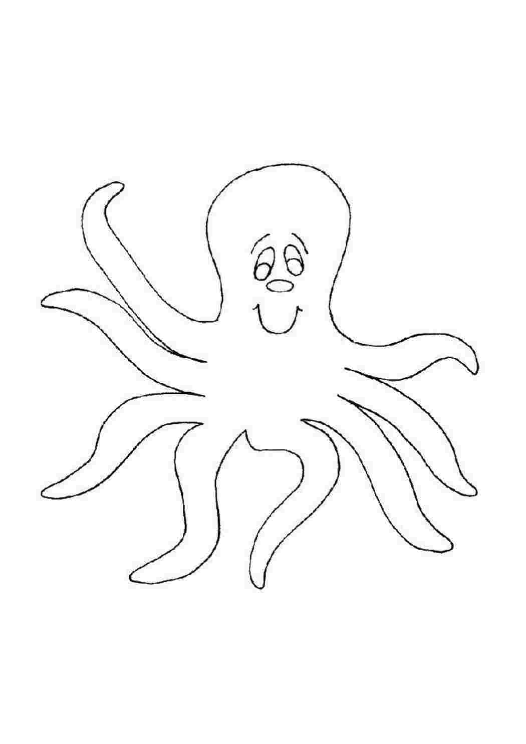 Раскраска Осьминог