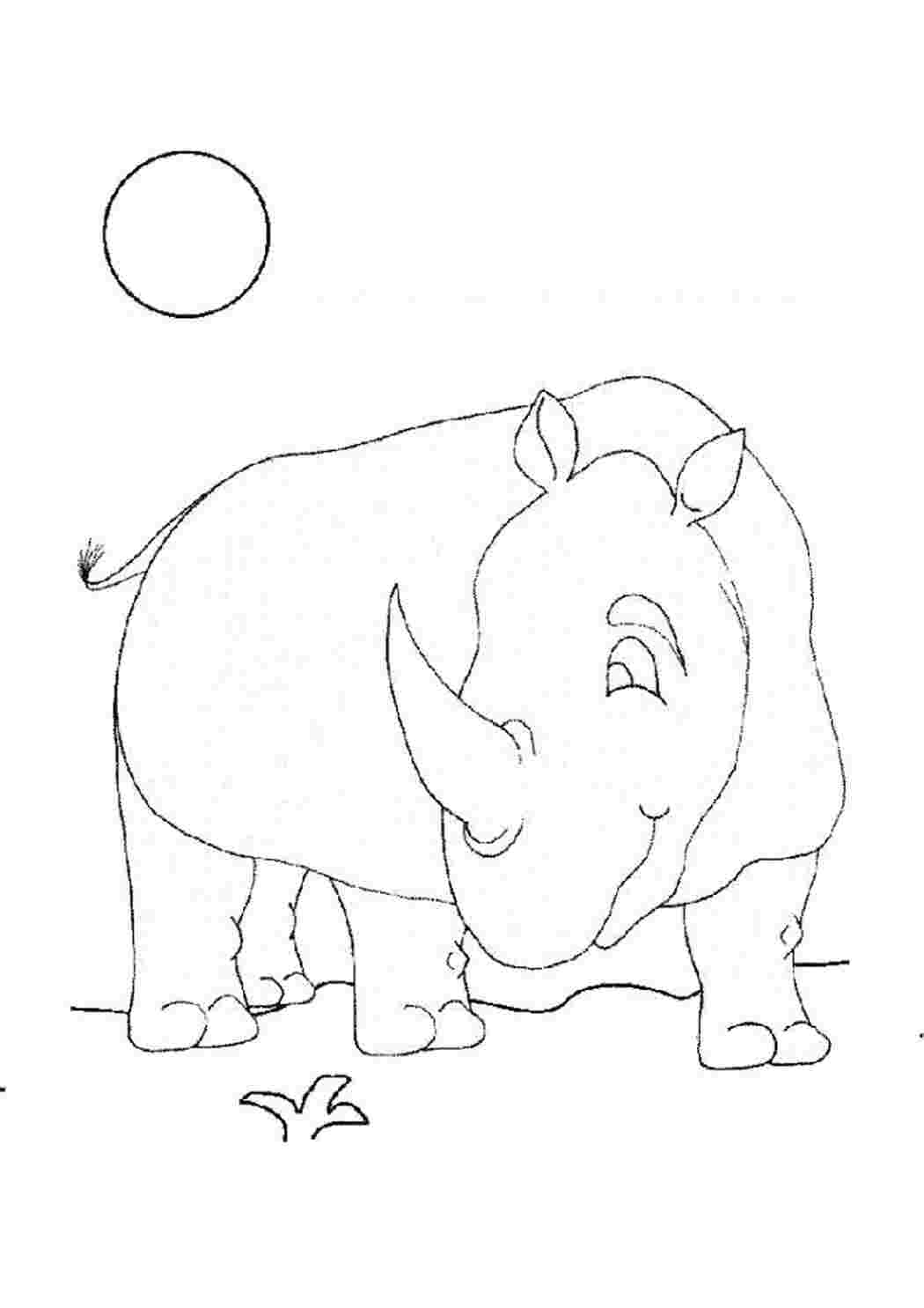 Раскраска Разукрашка Носорог