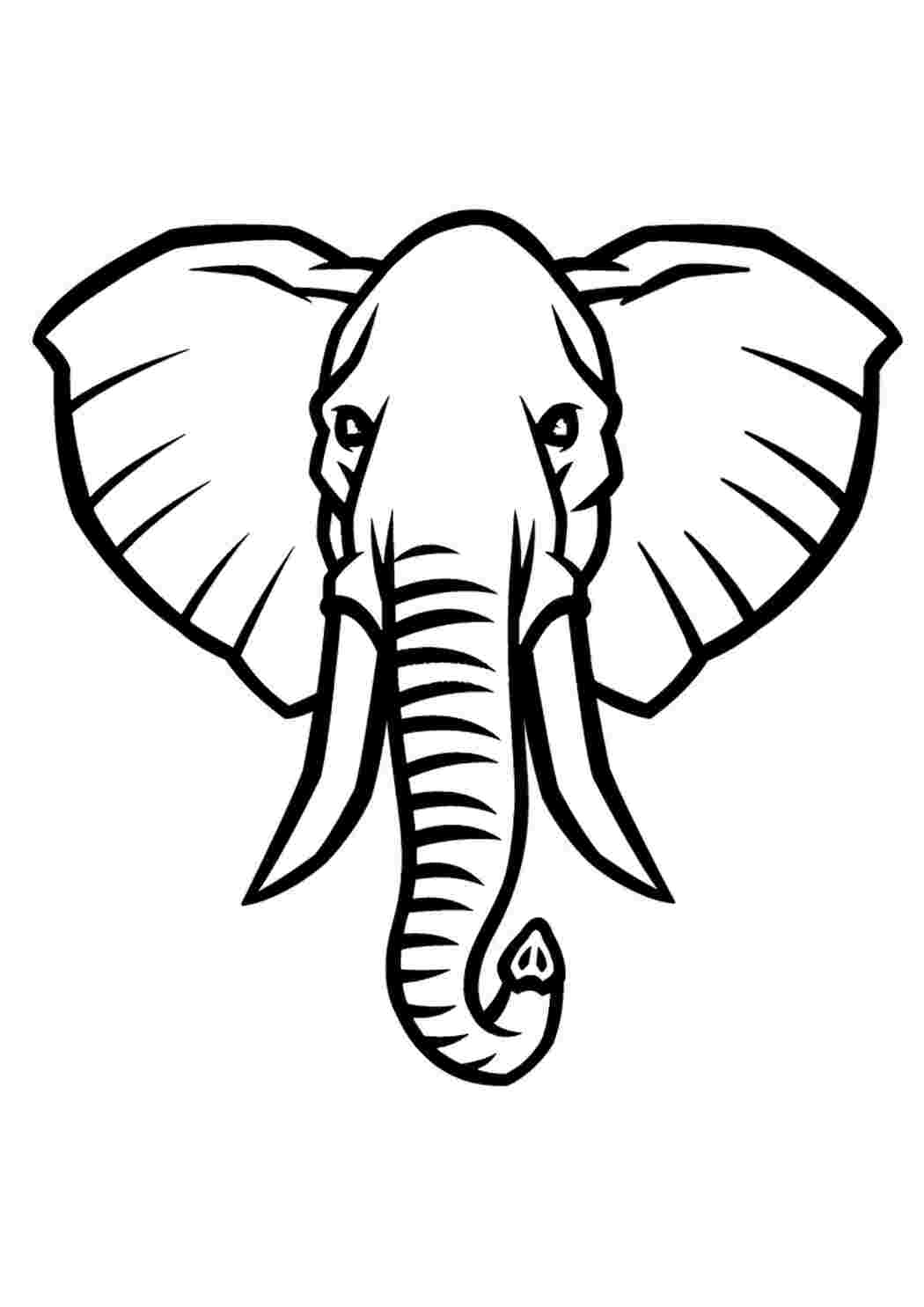 Морда слона раскраска