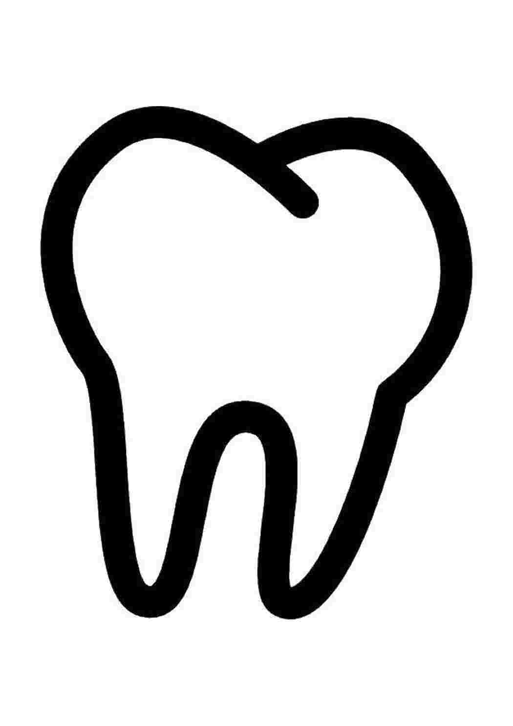 Векторный зуб. Нарисовать зуб. Нарисовать зуб. Зуб без фона. Зуб контур.