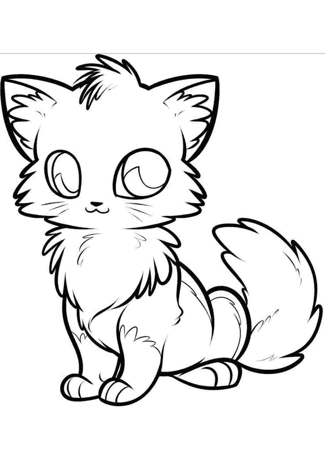 Раскраска Кошечка