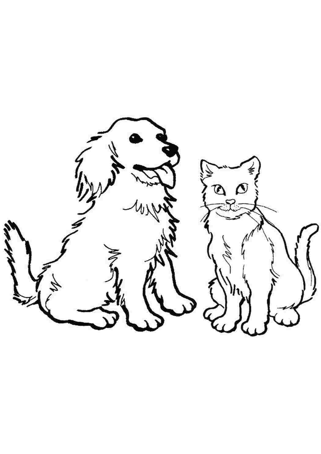 Рисунок к стиху кошкин щенок раскраска