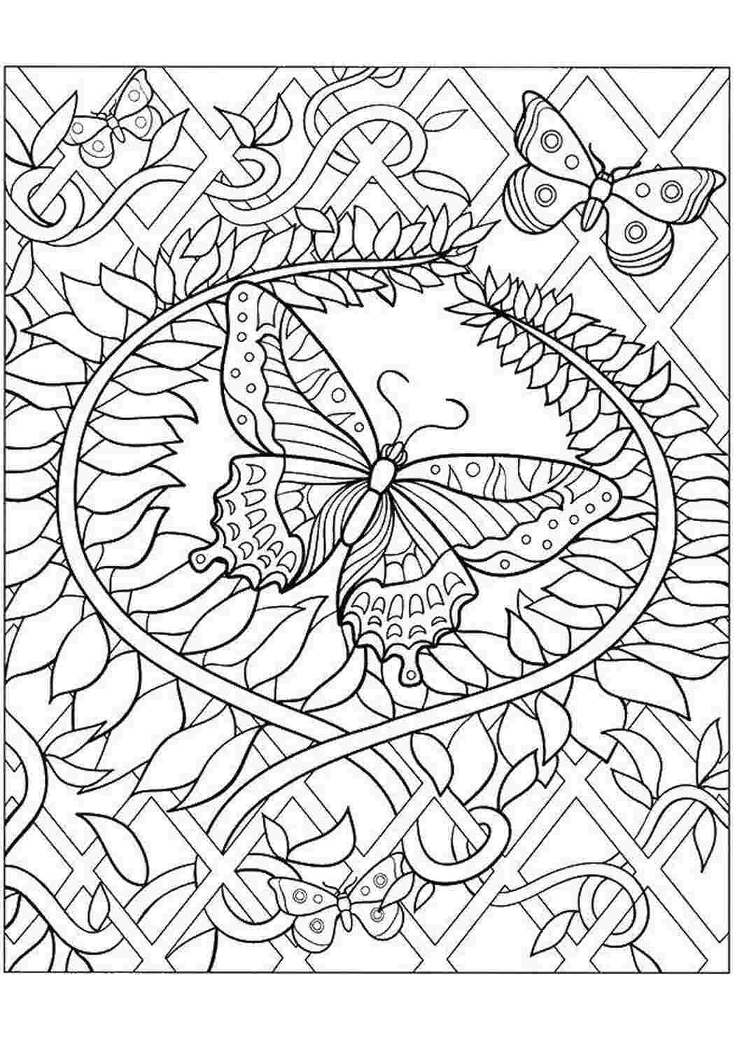 Раскраска Бабочки