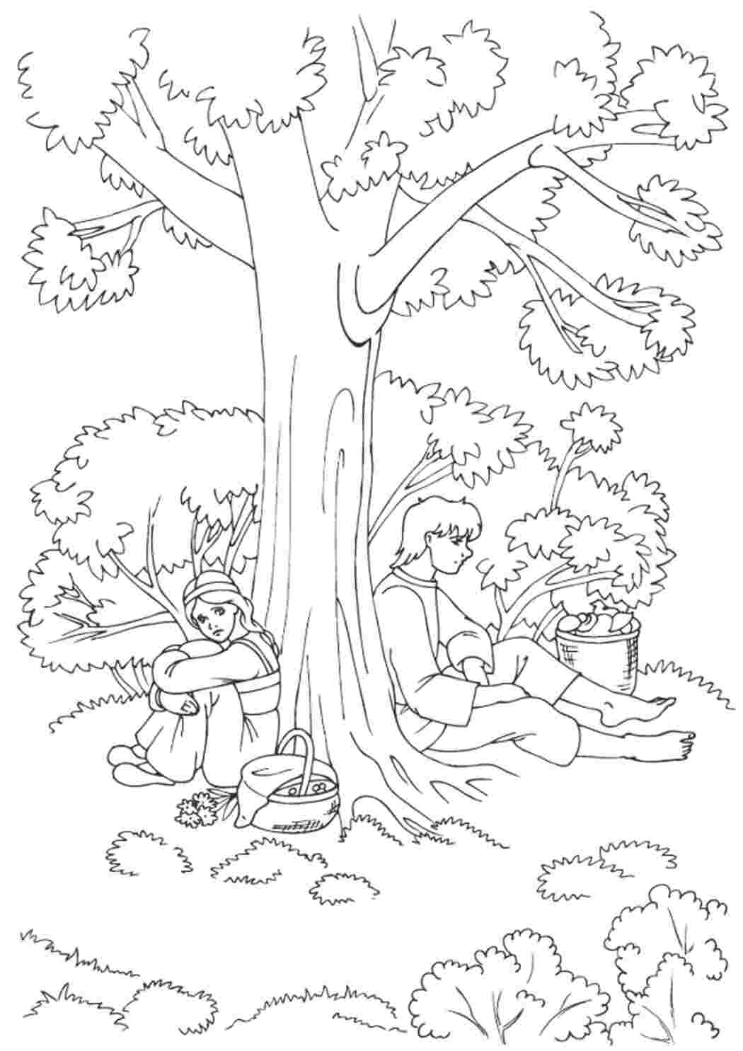 Лес летом раскраска для детей