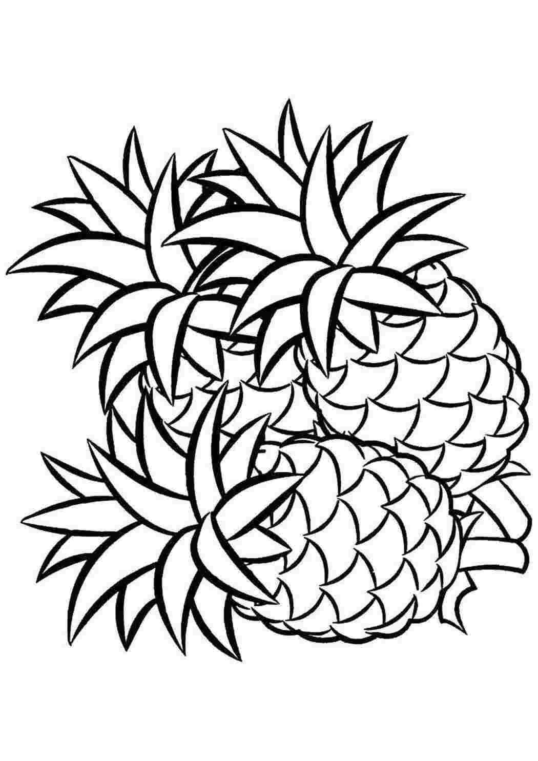 Раскраска Ананасы