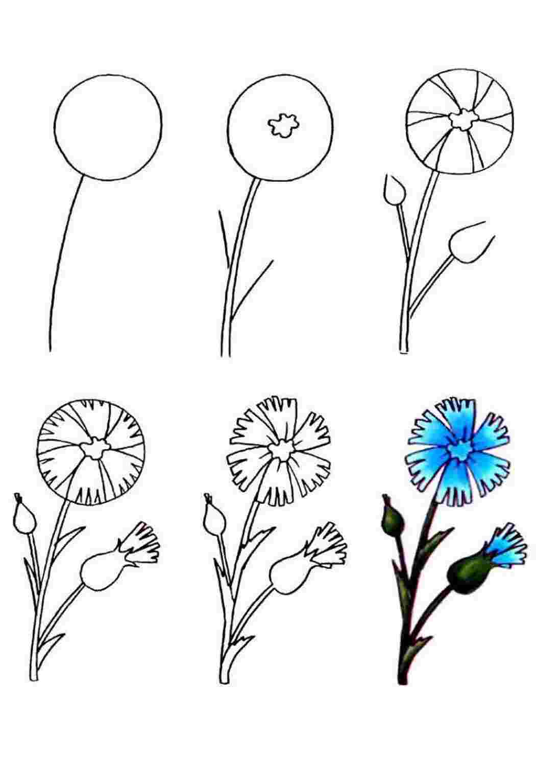 Как можно нарисовать цветок. Поэтапное рисование цветов. Рисование цветов для детей. Поэтапное рисование цветов для детей. Легкие цветы для рисования.