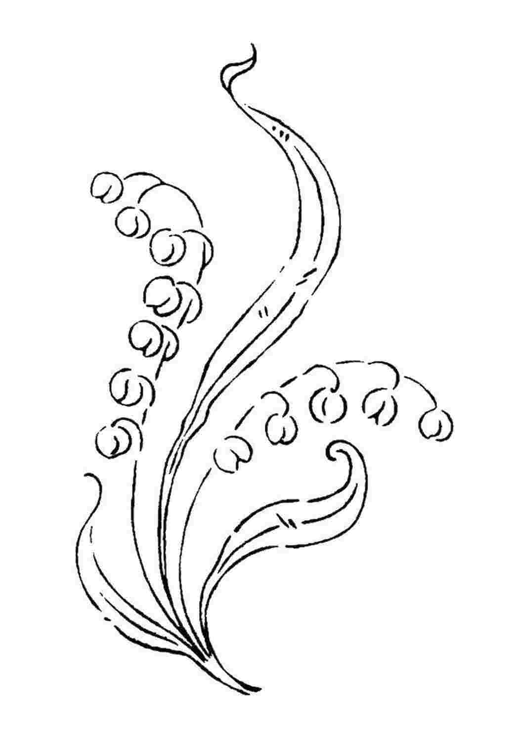 Раскраска Колокольчики