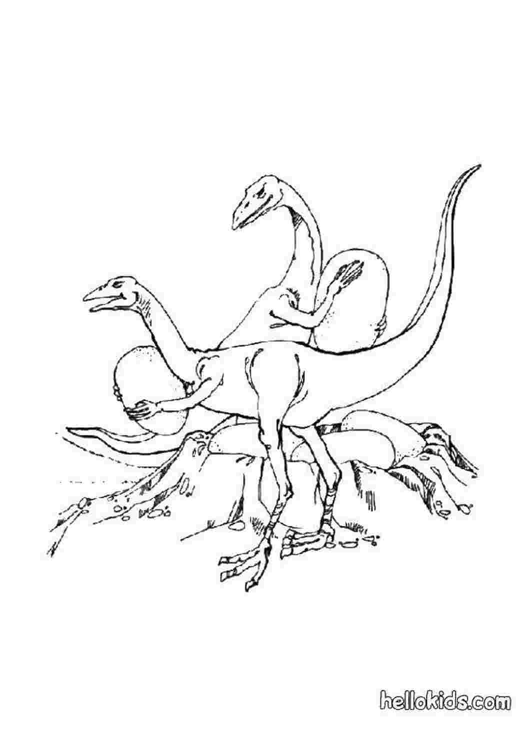 Раскраска динозавр орнитомим
